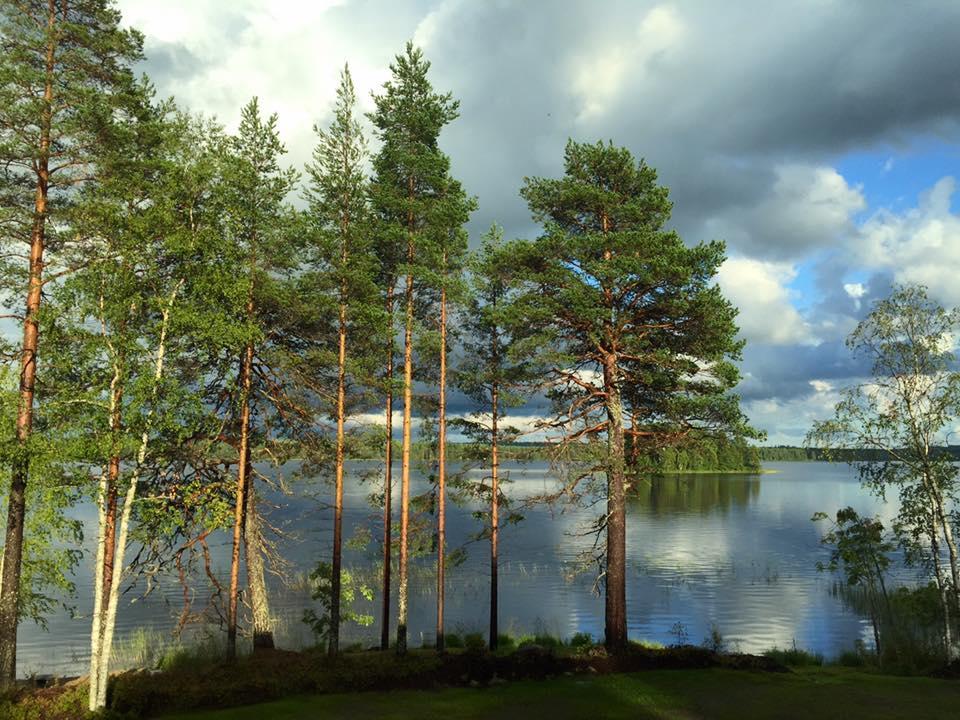 Villa Hiili Эхтяри Экстерьер фото